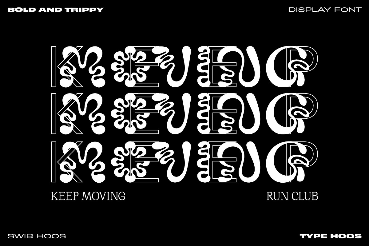Swib Hoos - Display Font, a Handwritten Font by Type Hoos (Photo 8 of 8)