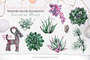Watercolor Scandinavian Succulents, an Illustration by Fluffy Unicorn (Thumbnail 2 of 11)