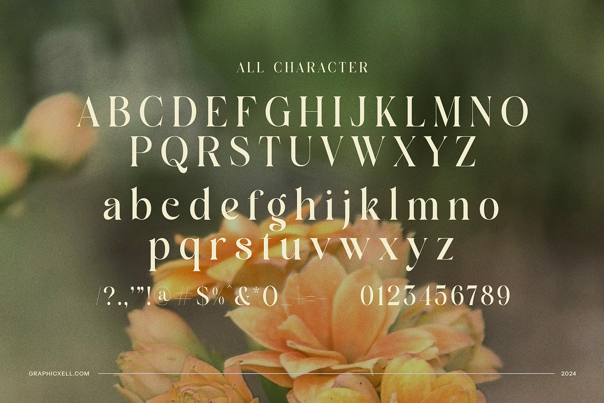 Marge - Elegant Serif Font, a Serif Font by Graphicxell (Photo 7 of 8)