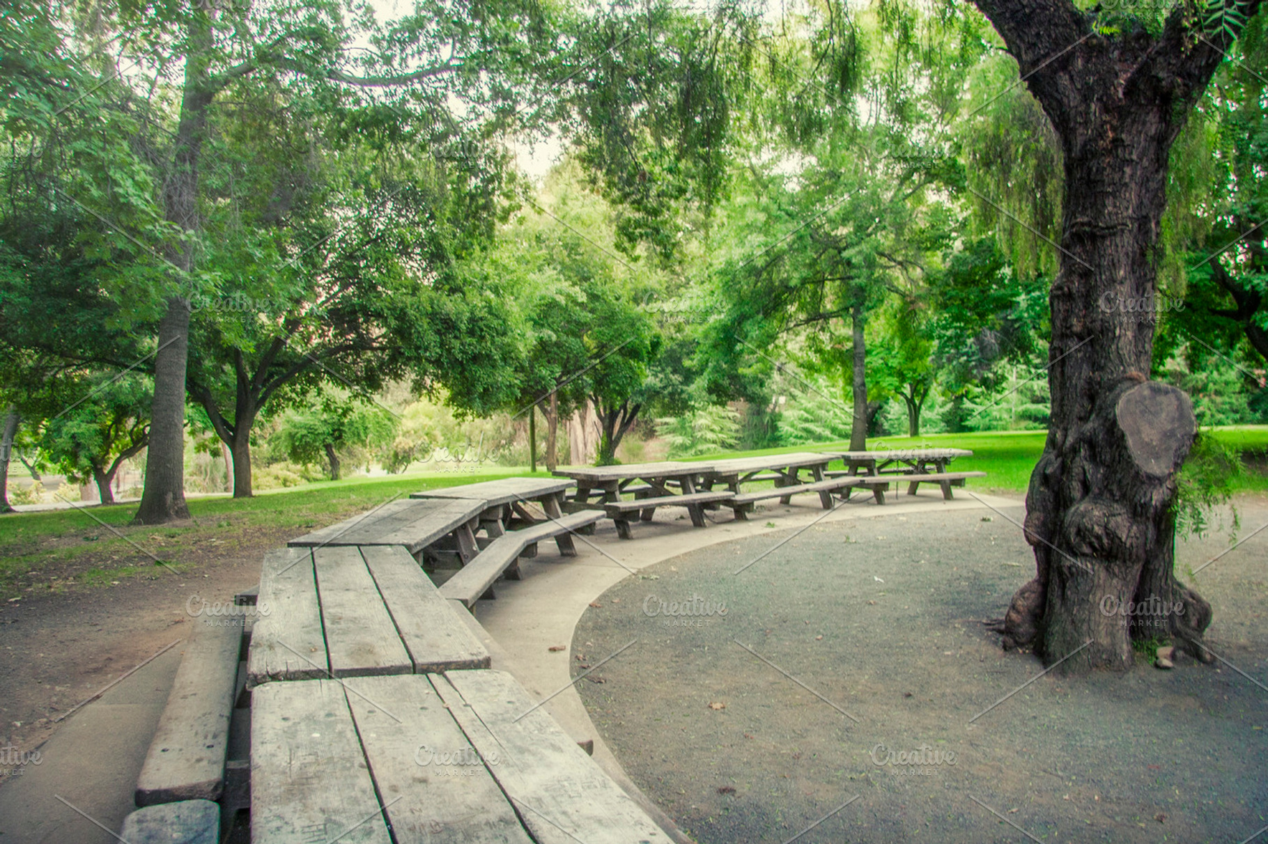 Long Line of Picnic Tables (Photo), a Nature Photo by Tien Frogget