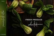 Quest for Design Font Duo, a Script Font by Creativeqube Design (Thumbnail 11 of 19)