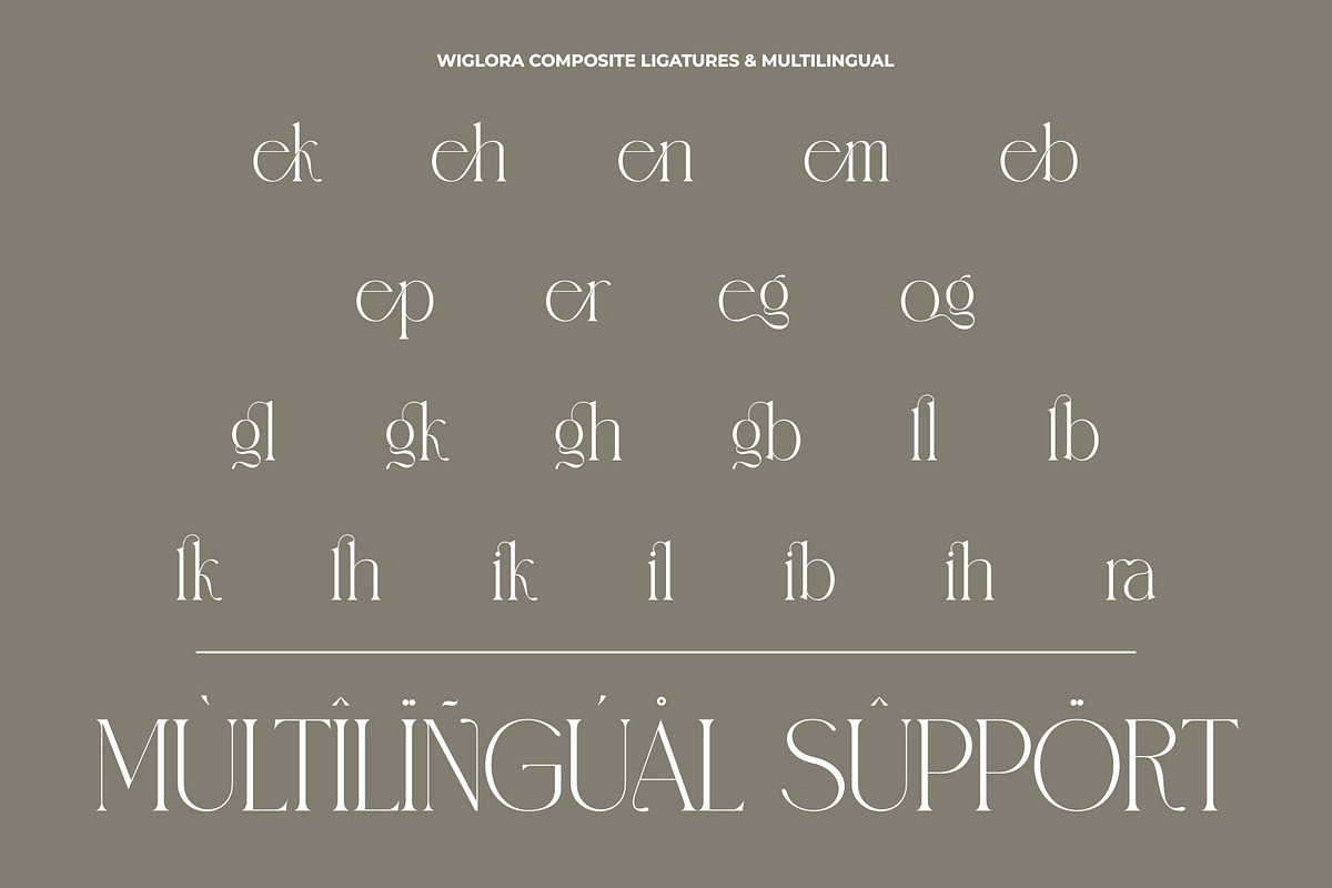 Wiglora Modern Ligature Serif, a Serif Font by Alfinart (Photo 10 of 10)