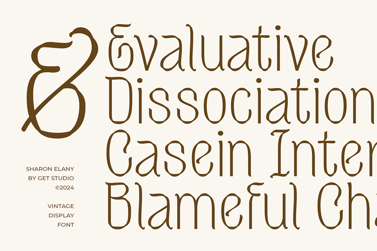 Sharon Elany, a Sans Serif Font by Get Studio (Photo 6 of 27)