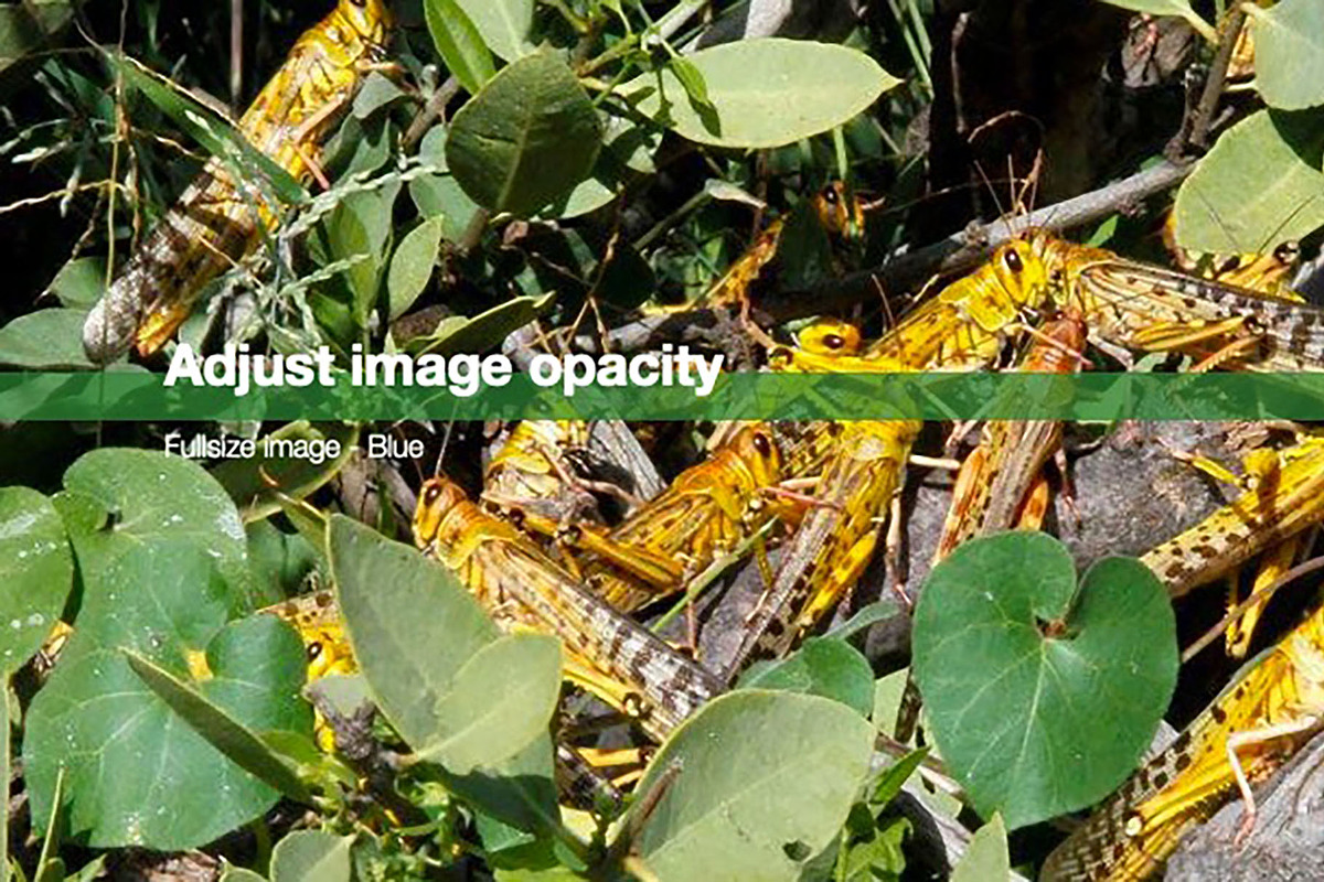Colorful Template For Any Use, a Templates & Theme by Iconography - Pitch Deck (Photo 25 of 36)
