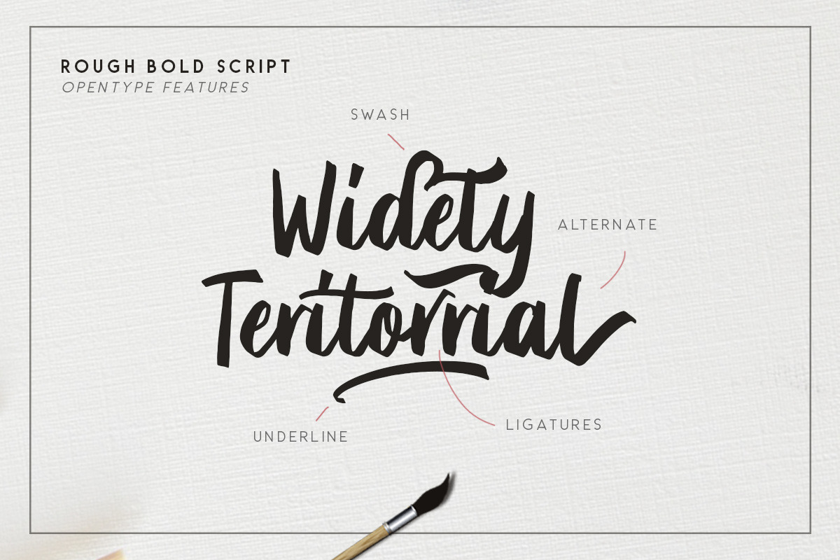 Briberra - Rough Bold Script preview 3