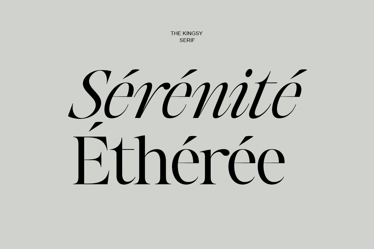 The Kingsy Serif (09 fonts), a Serif Font by Positive TypeFoundry (Photo 14 of 17)