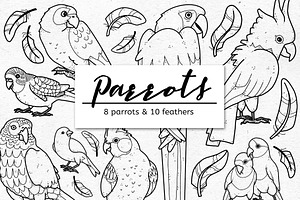Parrots and Feathers Graphic Bundle