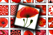 Digital Collage Sheet  Red Poppies, a Print Template by Kseniya-Omega (Thumbnail 3 of 3)