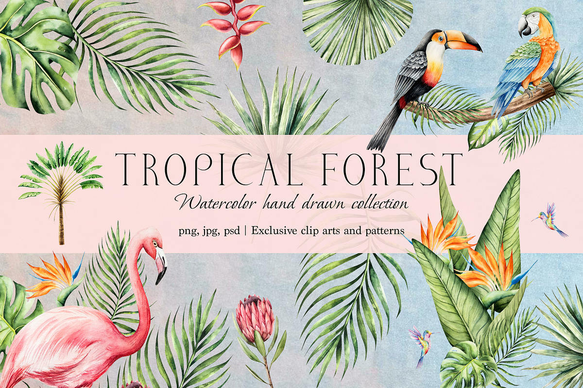 TROPICAL FOREST - Watercolor set, an Animal Illustration by Navenzeles (Photo 1 of 16)