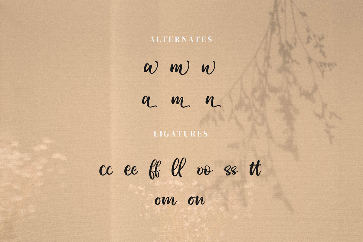Leonttina, a Script Font by Integritype Studio (Photo 11 of 15)