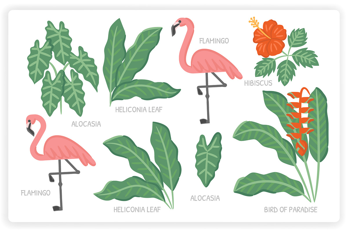 36 Tropical Elements + 12 Patterns, an Object Graphic by monkik (Photo 3 of 11)