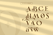 Lavero - Modern Ligatures Font, a Serif Font by Nirmana Visual (Thumbnail 6 of 8)