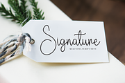 February | Script Font, a Handwritten Font by Scratchones (Thumbnail 4 of 8)