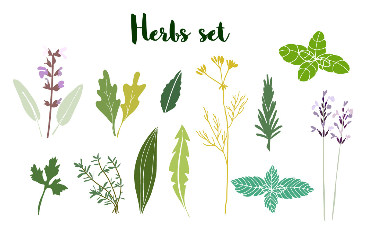 Herbs set, a Food Illustration by Tabita's shop (Photo 4 of 5)