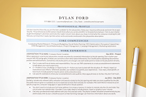 CEO CV Template / Executive CV Word