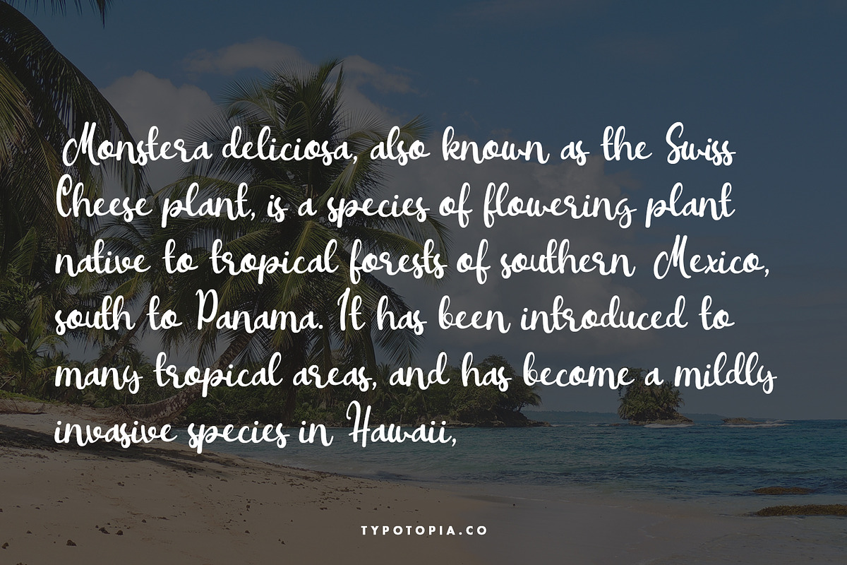 Arsalia Handwritten Font, a Script Font by edukka (Photo 5 of 9)