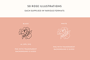 Rose Garden Vector Illustrations, an Illustration by Emma Webb Studio (Thumbnail 5 of 8)