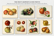 330+ Elements Autumn Collage Creator, an Object Graphic by Digi Life (Thumbnail 11 of 13)