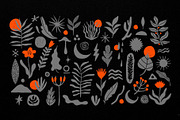 50 Folk Floral Shapes, an Object Graphic by Parisa-Artstudio (Thumbnail 4 of 4)