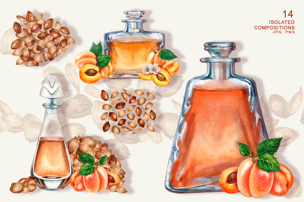 Apricot Aroma & Amaretto Watercolor, a Food Illustration by EL_SUHOVA (Photo 5 of 14)