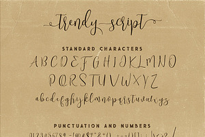 Trendy Script Font Duo