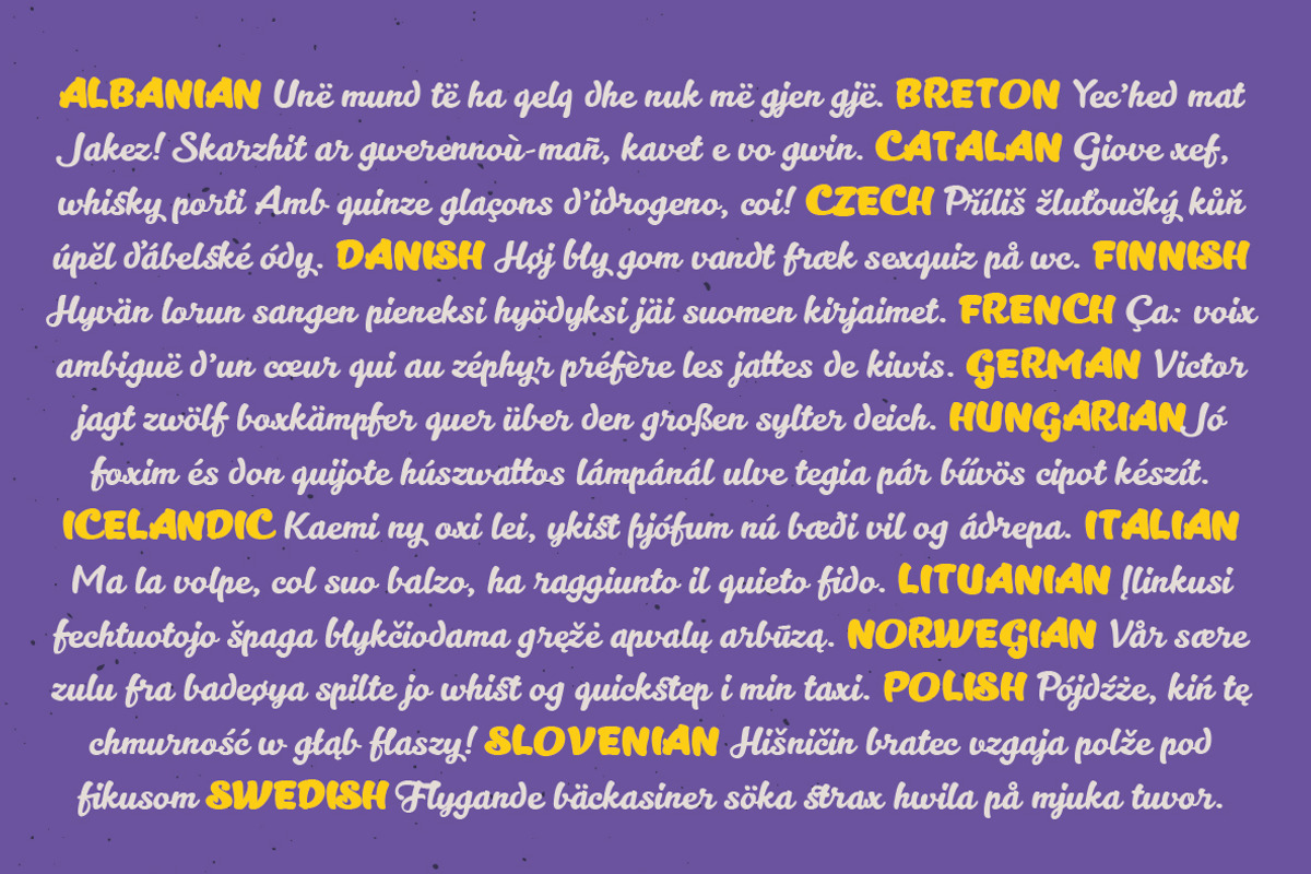 Kitten - 13 fonts, a Script Font by Zetafonts (Photo 12 of 12)