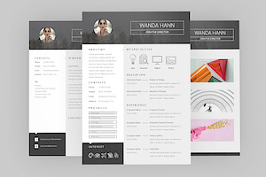 Delight CV Resume Designer