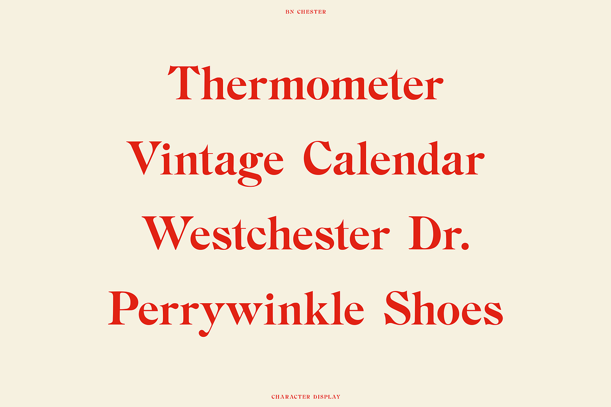 BN Chester - A Unique Serif Font, a Handwritten Font by Bnick (Photo 7 of 10)