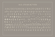 Lagency - Elegant Serif | 10 Fonts, a Serif Font by Craft Supply Co. (Thumbnail 12 of 12)