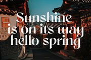 Sangu, a Serif Font by nurrontype (Thumbnail 10 of 12)