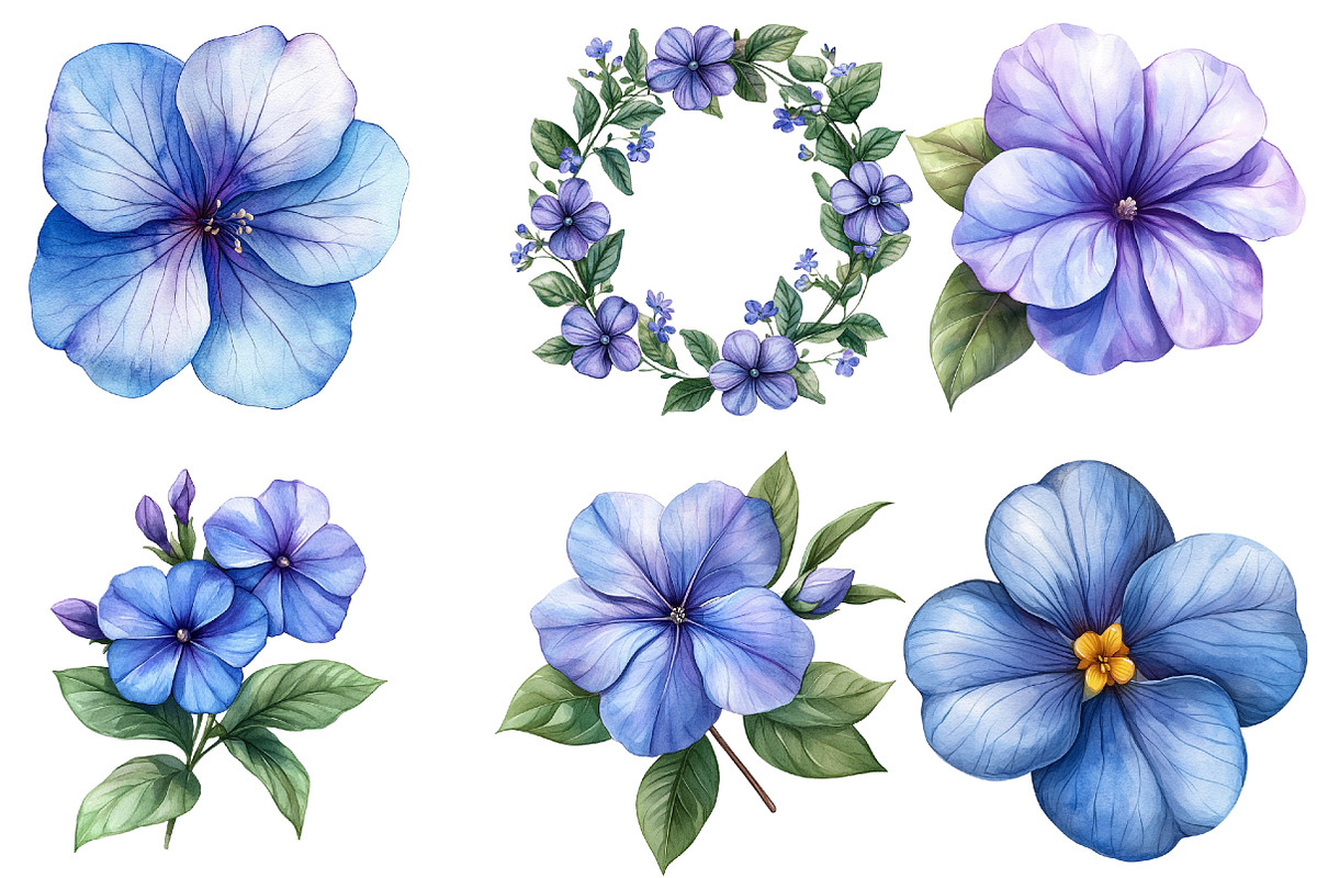 Periwinkle Flower Watercolor Clipart, an Illustration by Watercolor design (Photo 2 of 3)