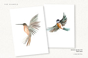 Watercolor Birds Clipart Set, an Animal Illustration by Mia Digital (Thumbnail 4 of 5)