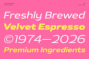 Larieno Extended, a Sans Serif Font by Zafara Studios (Thumbnail 9 of 12)