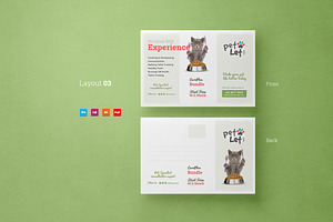 Veterinary Clinic Postcard