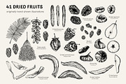 Superfoods: Fruit & Nuts Vector Set, a Food Illustration by Yevheniia (Thumbnail 4 of 11)