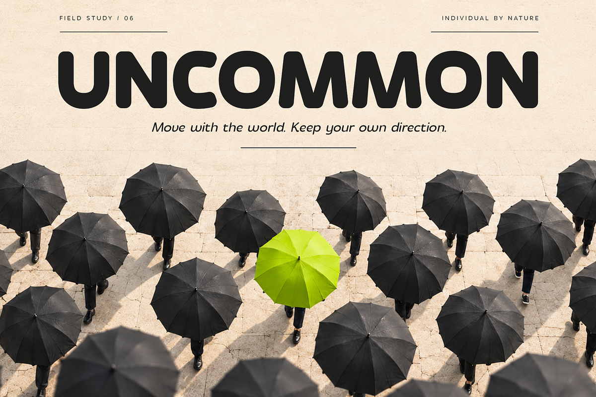 Flamor Soft - Rounded Sans Serif, a Sans Serif Font by VP Fonts (Photo 5 of 28)