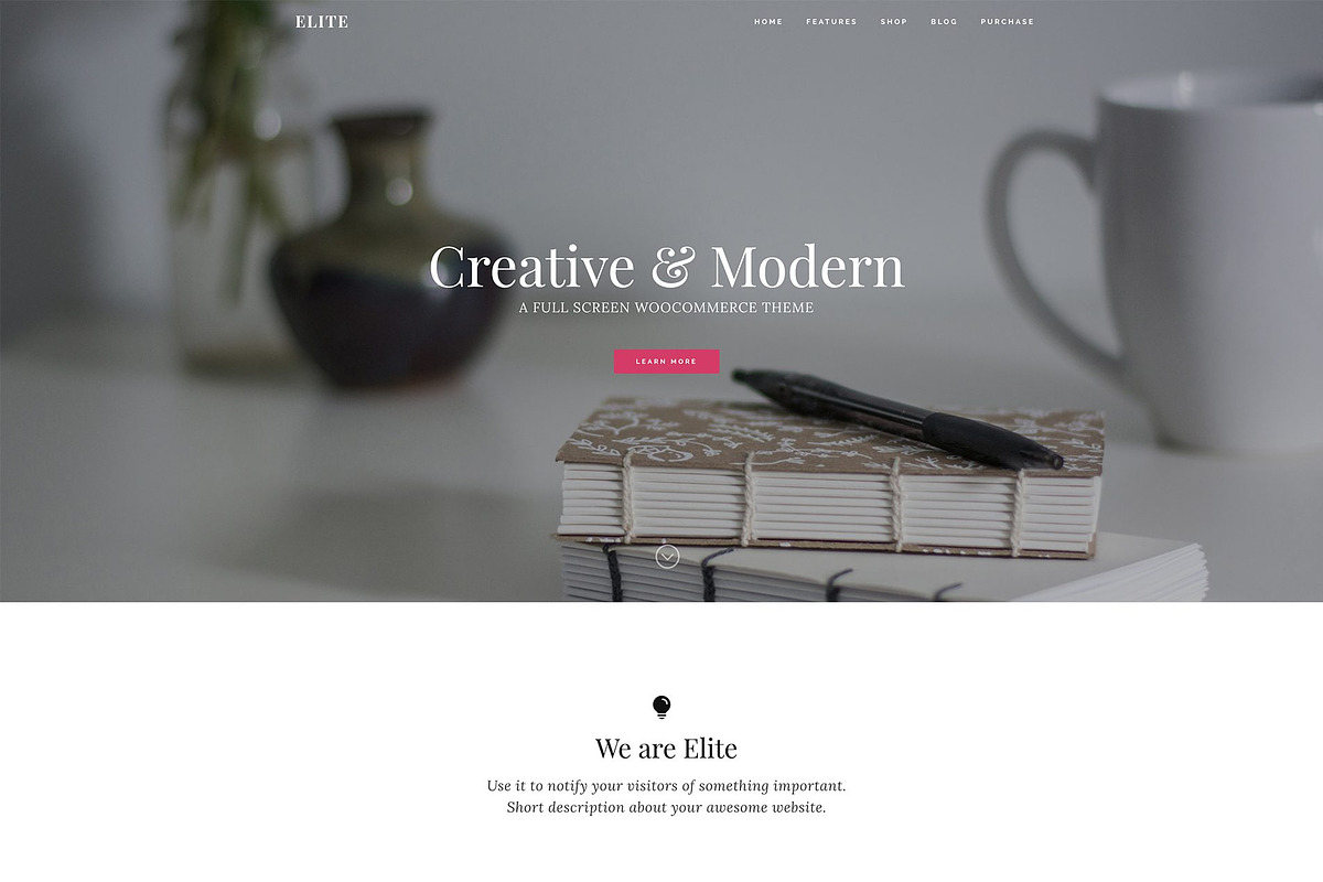 Elite Business/WooCommerce WP Theme, a WordPress Template by Organized Themes (Photo 1 of 12)