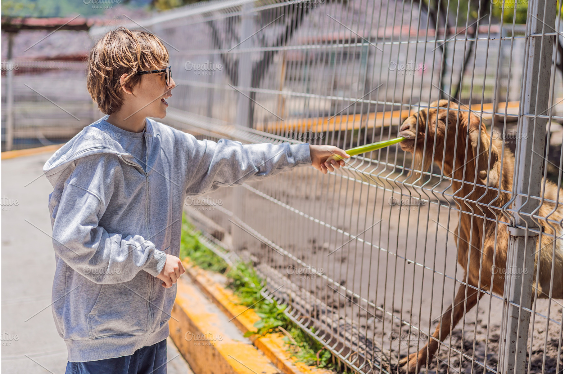 Young boy feeding a goat on a farm, an Animal Photo by Elizaveta Galitskaya