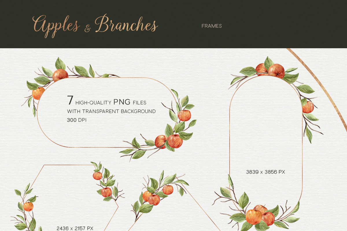 Apples and branches Watercolor set, an Illustration by NataliVA (Photo 4 of 9)