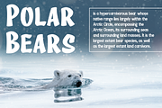 Deiland - A Christmas Celebrate Font, a Sans Serif Font by overlaytemplates (Thumbnail 3 of 5)
