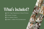 100 Neutral Business Woman Photos, a Business Photo by Incomelion (Thumbnail 2 of 8)