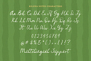 Rilona Notes Font, a Handwritten Font by Timurtype (Thumbnail 6 of 7)