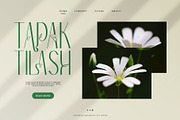 Redivola Typeface, a Sans Serif Font by alit design (Thumbnail 8 of 15)