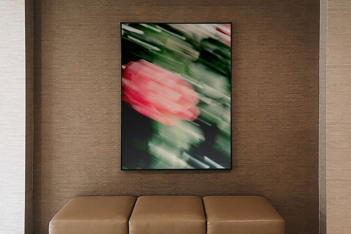FlowerBloom 3 - Fine Art Photography, an Abstract Photo by Marie Dumora (Photo 3 of 5)