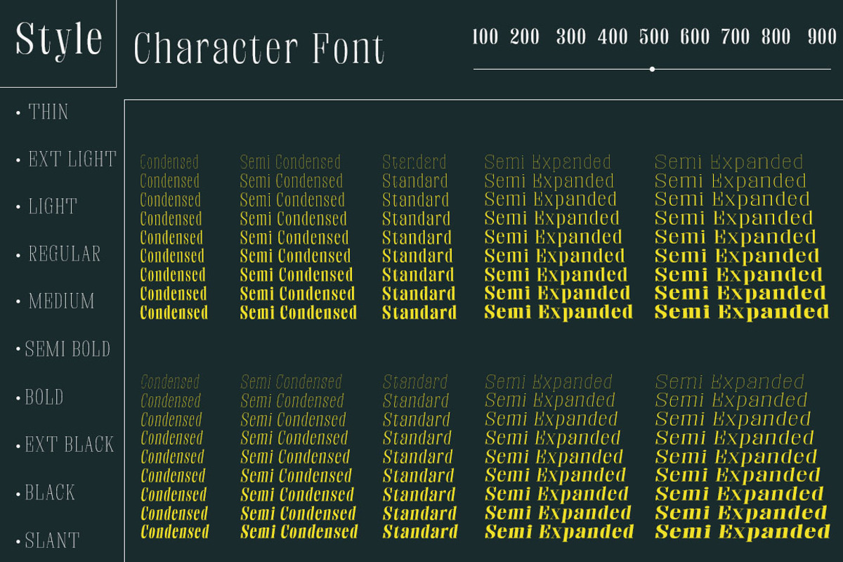 Fenoura, a Serif Font by Propertype (Photo 5 of 10)