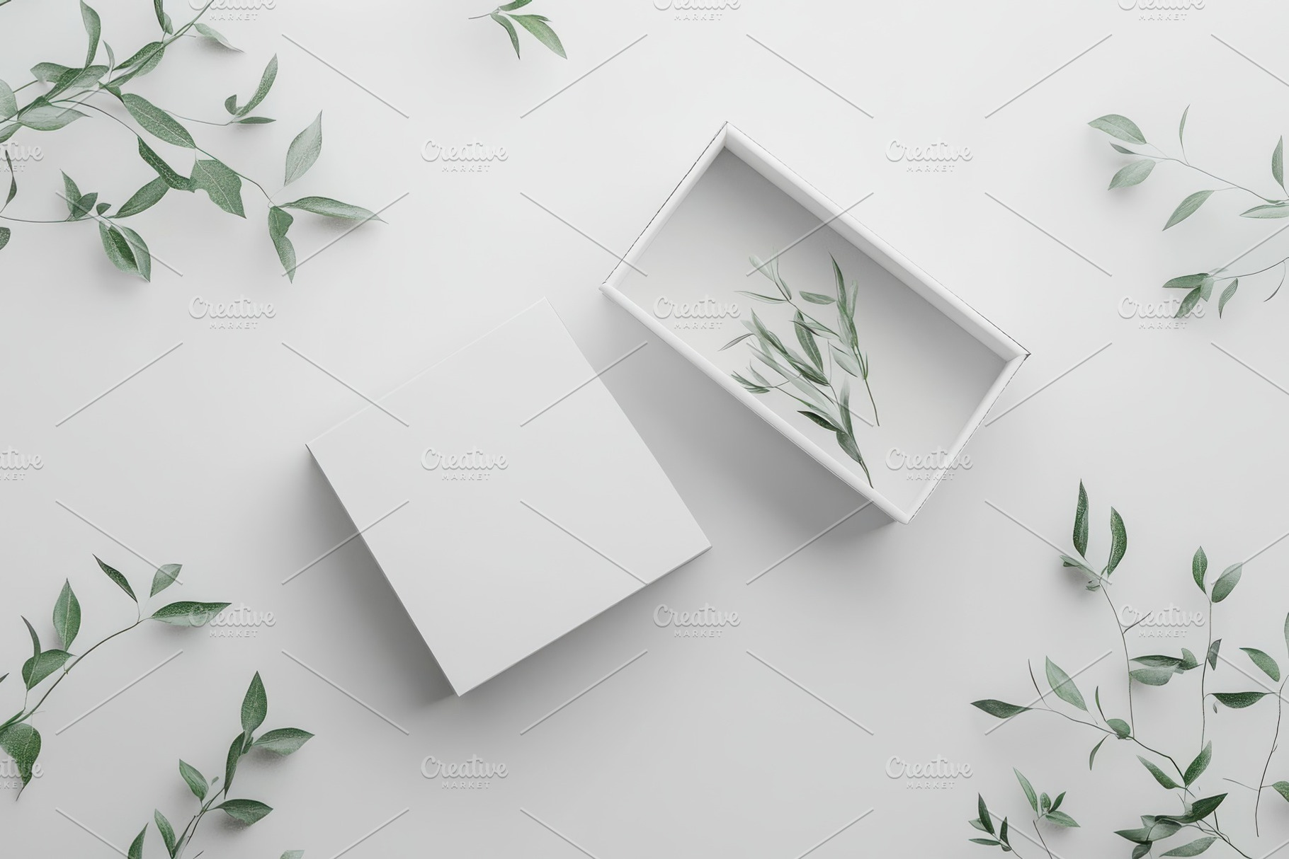White boxes and green leaves minimal, a Background Photo by Pixeness Studio