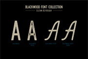 Blacklwood, a Sans Serif Font by Secondivison Supply (Thumbnail 7 of 10)