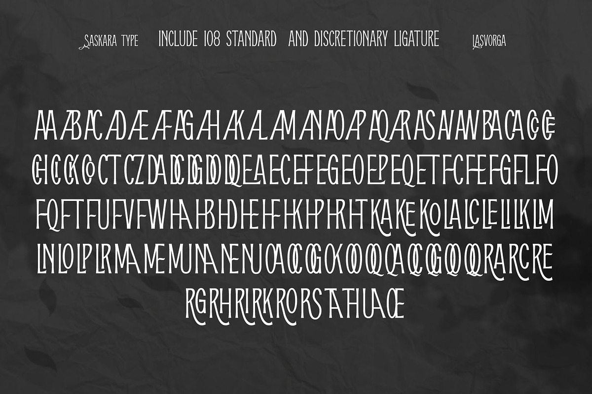 Lasvorga, a Serif Font by saskaratype (Photo 9 of 10)