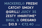 SFC Mackerel (Refined) - Font Duo, a Serif Font by Skilline Supply Co. (Thumbnail 12 of 22)