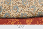 Antique French Chintz, an Illustration by Print Diaries (Thumbnail 2 of 2)